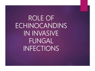 ROLE OF
ECHINOCANDINS
IN INVASIVE
FUNGAL
INFECTIONS
 