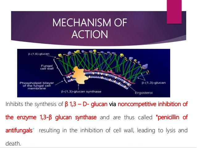 Role Of Echinocandins In Invasive Fungal Infection