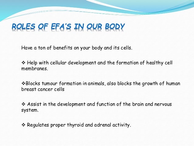 function of fatty acids