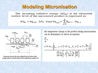 Modeling Micronisation
 