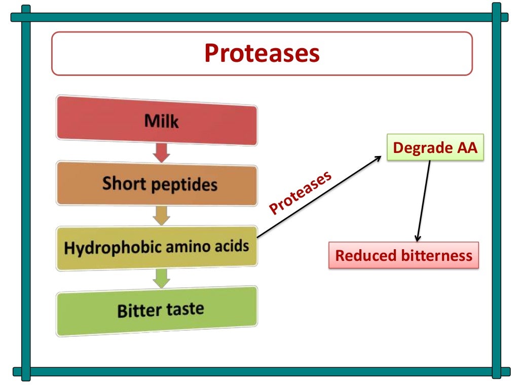 Role of enzymes in dairy industries