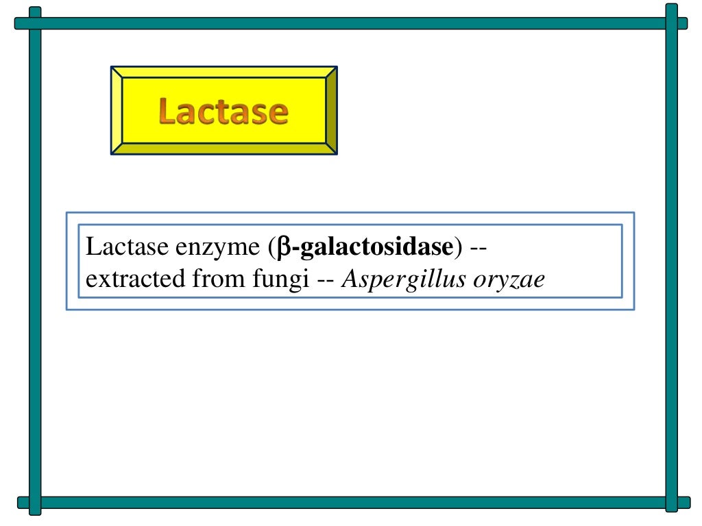Role of enzymes in dairy industries