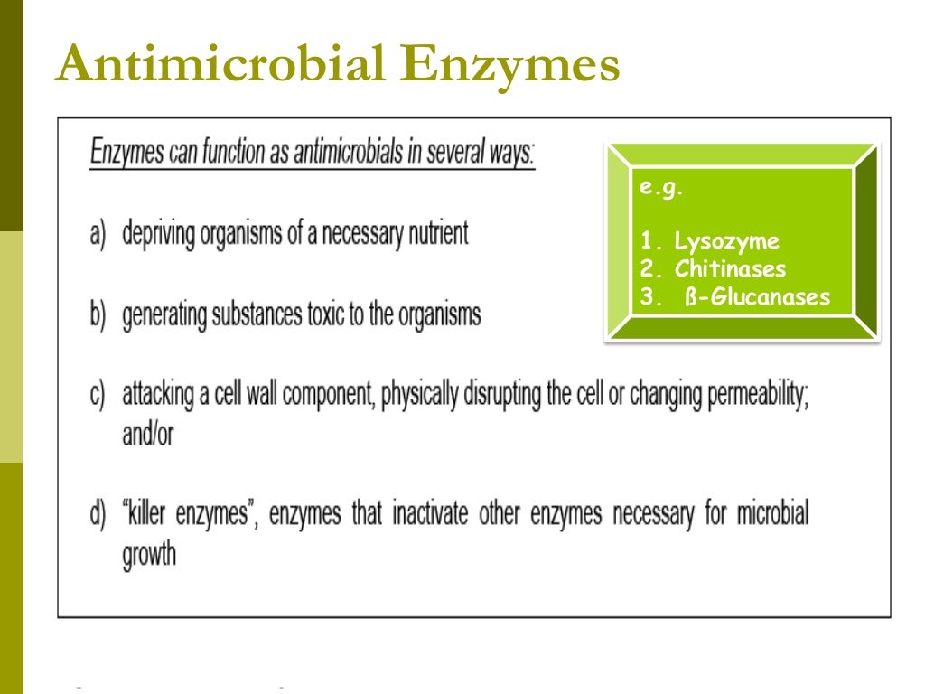 Role of enzymes in dairy industries