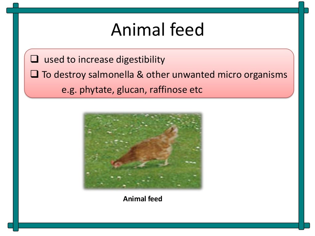 Role of enzymes in dairy industries