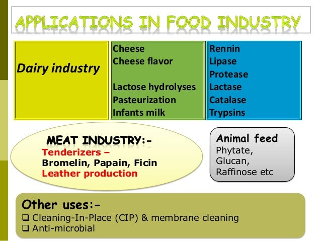 lactose fermentation