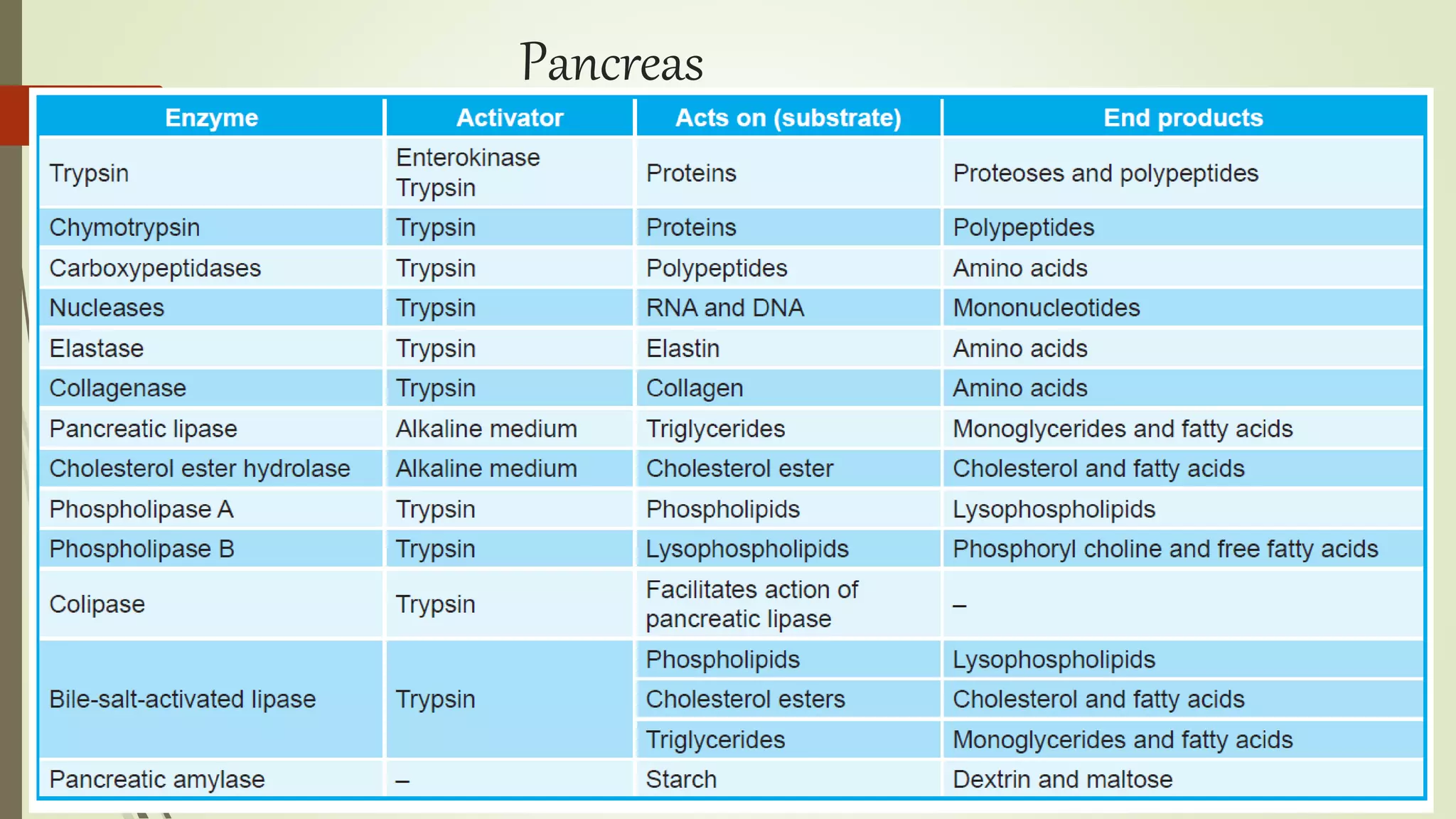 Pancreas
 