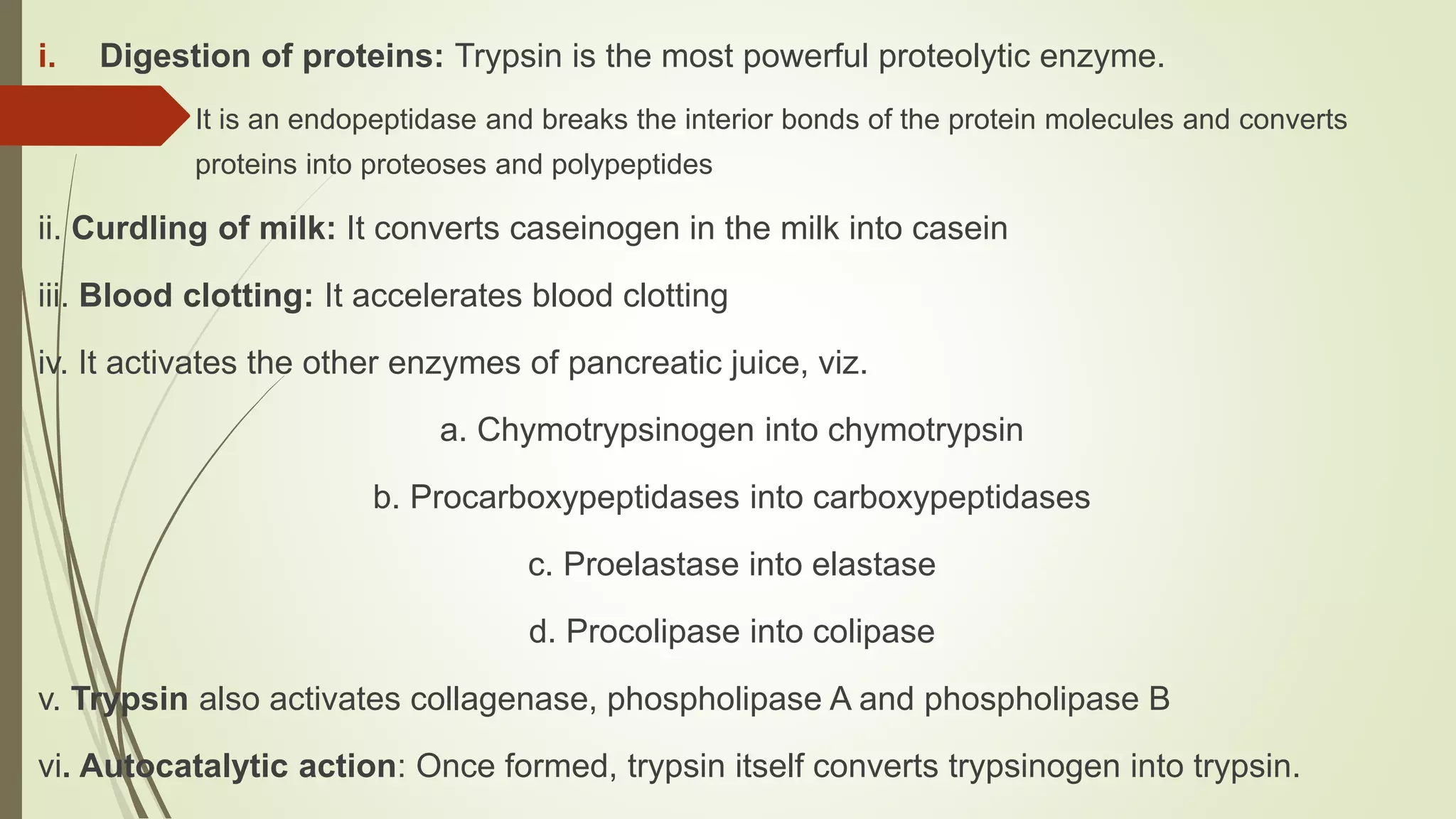i. Digestion of proteins: Trypsin is the most powerful proteolytic enzyme.
i. It is an endopeptidase and breaks the interior bonds of the protein molecules and converts
proteins into proteoses and polypeptides
ii. Curdling of milk: It converts caseinogen in the milk into casein
iii. Blood clotting: It accelerates blood clotting
iv. It activates the other enzymes of pancreatic juice, viz.
a. Chymotrypsinogen into chymotrypsin
b. Procarboxypeptidases into carboxypeptidases
c. Proelastase into elastase
d. Procolipase into colipase
v. Trypsin also activates collagenase, phospholipase A and phospholipase B
vi. Autocatalytic action: Once formed, trypsin itself converts trypsinogen into trypsin.
 