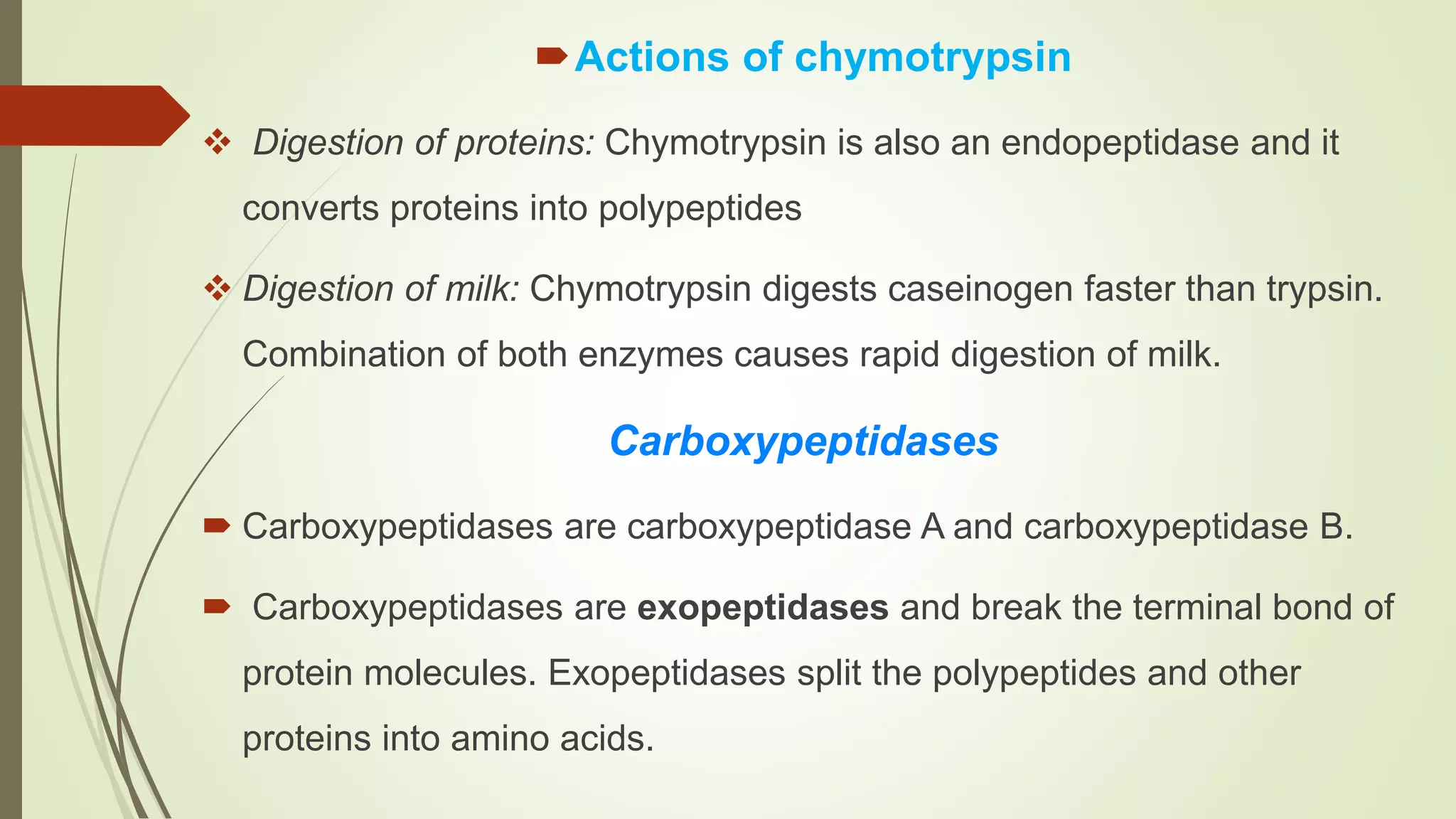 Actions of chymotrypsin
 Digestion of proteins: Chymotrypsin is also an endopeptidase and it
converts proteins into polypeptides
 Digestion of milk: Chymotrypsin digests caseinogen faster than trypsin.
Combination of both enzymes causes rapid digestion of milk.
Carboxypeptidases
 Carboxypeptidases are carboxypeptidase A and carboxypeptidase B.
 Carboxypeptidases are exopeptidases and break the terminal bond of
protein molecules. Exopeptidases split the polypeptides and other
proteins into amino acids.
 