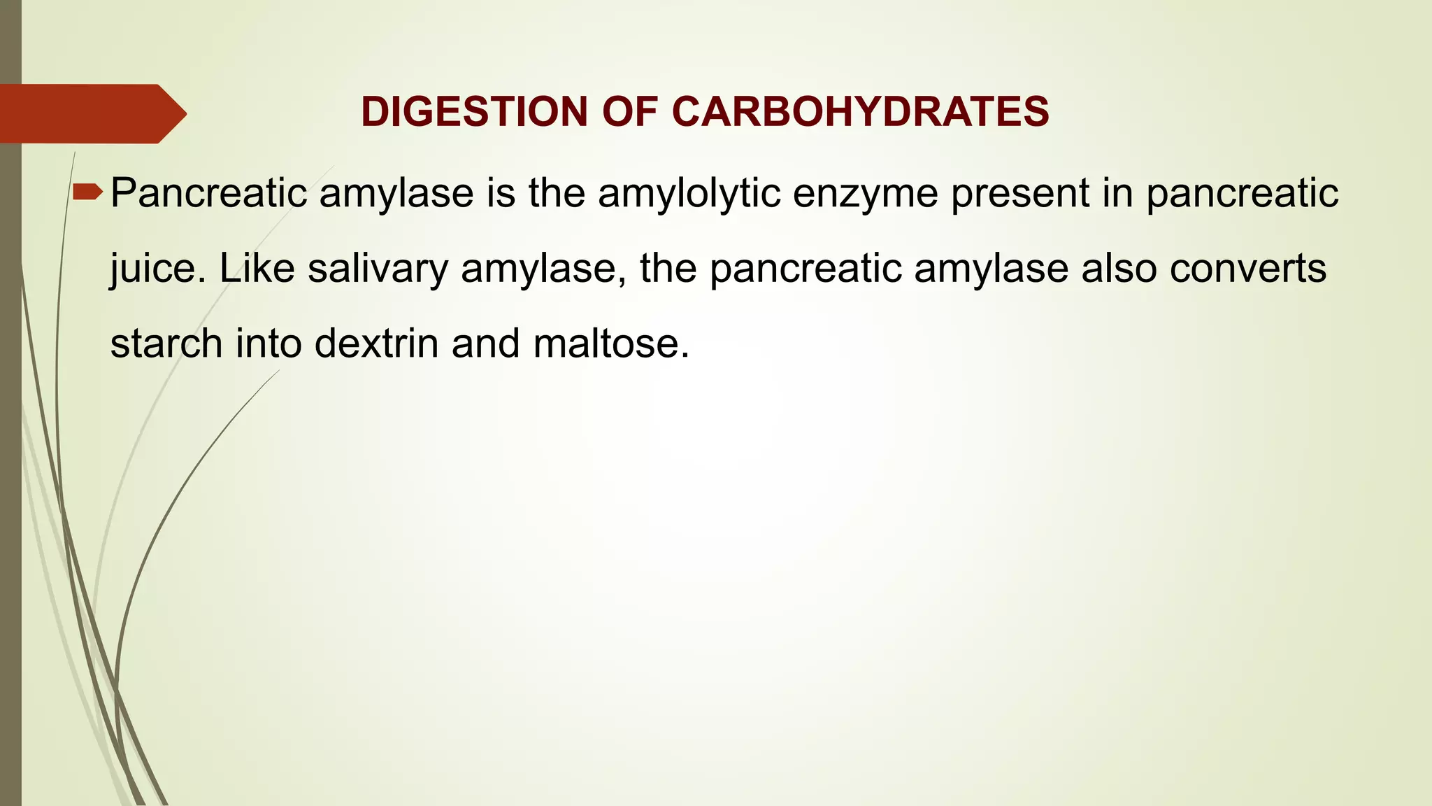 DIGESTION OF CARBOHYDRATES
Pancreatic amylase is the amylolytic enzyme present in pancreatic
juice. Like salivary amylase, the pancreatic amylase also converts
starch into dextrin and maltose.
 