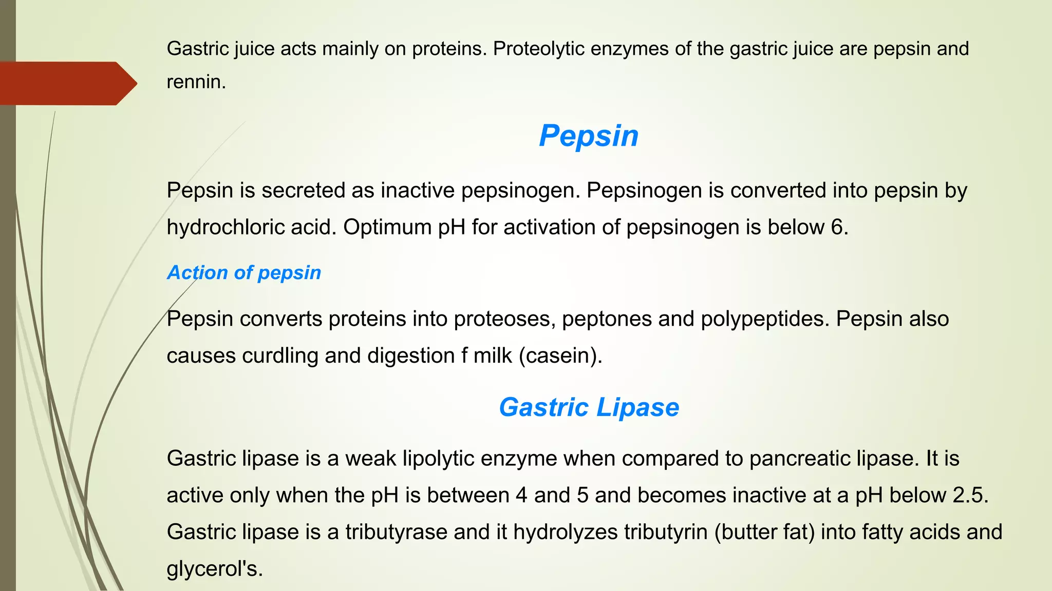 Gastric juice acts mainly on proteins. Proteolytic enzymes of the gastric juice are pepsin and
rennin.
Pepsin
Pepsin is secreted as inactive pepsinogen. Pepsinogen is converted into pepsin by
hydrochloric acid. Optimum pH for activation of pepsinogen is below 6.
Action of pepsin
Pepsin converts proteins into proteoses, peptones and polypeptides. Pepsin also
causes curdling and digestion f milk (casein).
Gastric Lipase
Gastric lipase is a weak lipolytic enzyme when compared to pancreatic lipase. It is
active only when the pH is between 4 and 5 and becomes inactive at a pH below 2.5.
Gastric lipase is a tributyrase and it hydrolyzes tributyrin (butter fat) into fatty acids and
glycerol's.
 