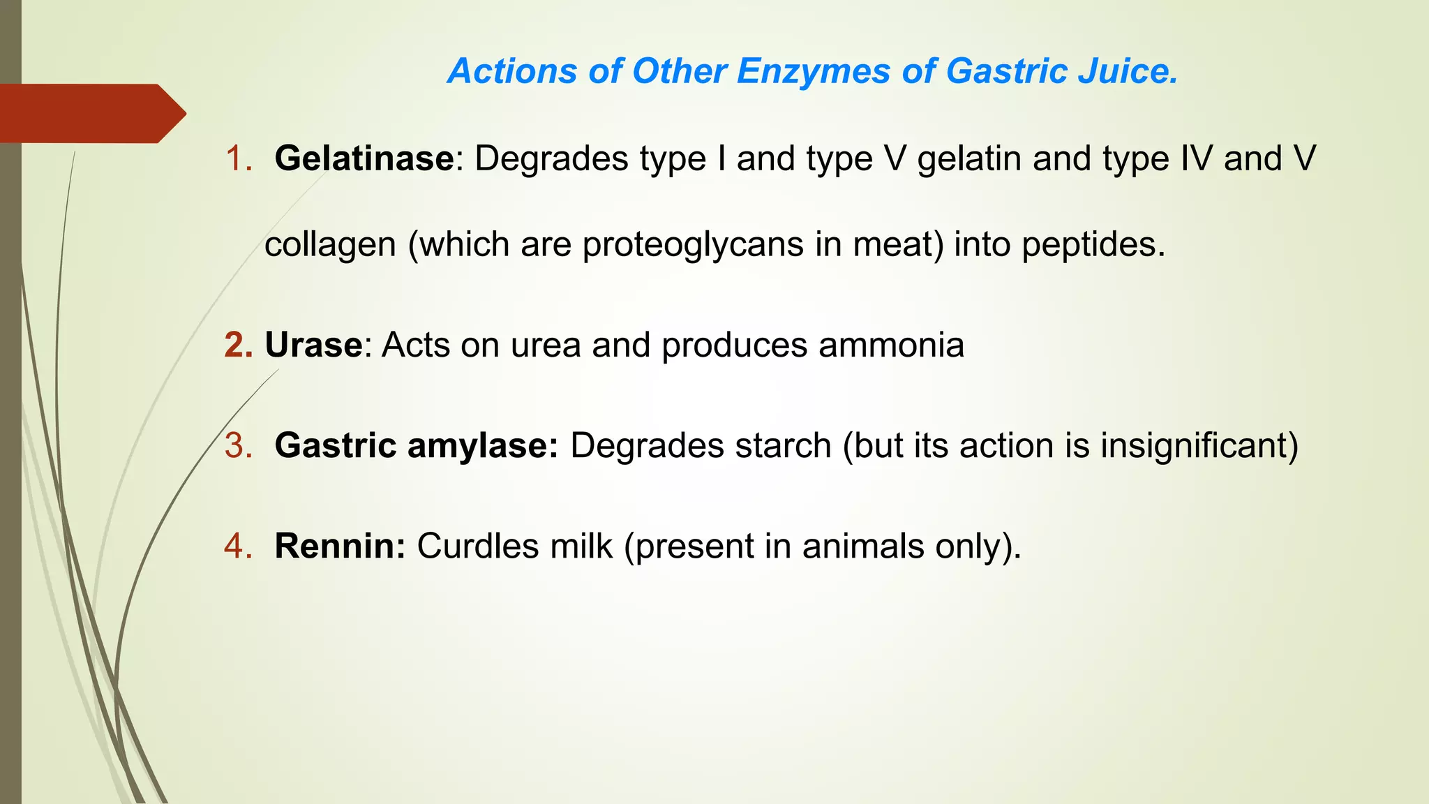 Actions of Other Enzymes of Gastric Juice.
1. Gelatinase: Degrades type I and type V gelatin and type IV and V
collagen (which are proteoglycans in meat) into peptides.
2. Urase: Acts on urea and produces ammonia
3. Gastric amylase: Degrades starch (but its action is insignificant)
4. Rennin: Curdles milk (present in animals only).
 