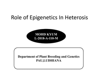Role of Epigenetics In Heterosis
L-2018-A-110-M
MOHD KYUM
L-2018-A-110-M
Department of Plant Breeding and Genetics
PAU,LUDHIANA
 