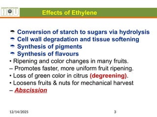 Role of Ethylene.pptx2421148066843263213 | PPTX