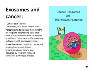 Role of exosomes in cancer | PPTX