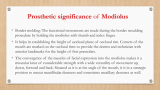 ROLE OF FACIAL MUSCLES IN COMPLETE DENTURE.pptx