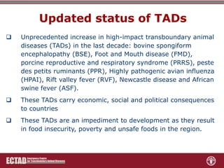 Role of FAO-ECTAD in transboundary disease surveillance and control with special reference to ASF