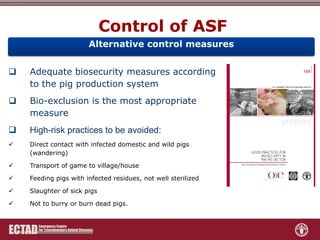 Role of FAO-ECTAD in transboundary disease surveillance and control with special reference to ASF