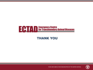 Role of FAO-ECTAD in transboundary disease surveillance and control with special reference to ASF