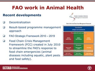 Role of FAO-ECTAD in transboundary disease surveillance and control with special reference to ASF