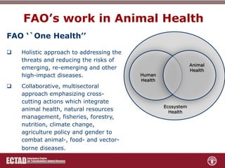 Role of FAO-ECTAD in transboundary disease surveillance and control with special reference to ASF