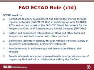 Role of FAO-ECTAD in transboundary disease surveillance and control with special reference to ASF