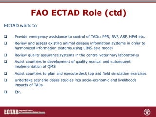 Role of FAO-ECTAD in transboundary disease surveillance and control with special reference to ASF