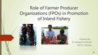 Role of Farmer Producer
Organizations (FPOs) in Promotion
of Inland Fishery
Presented By….
Mr. Mangesh M. Bhosale
(M.F.Sc., Fisheries)
 