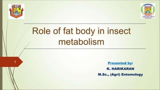 Role of fat body in insect
metabolism
Presented by:
K. HARIKARAN
M.Sc., (Agri) Entomology
1
 