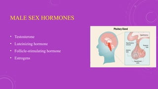 Role of female sex hormones in periodotium.pptx