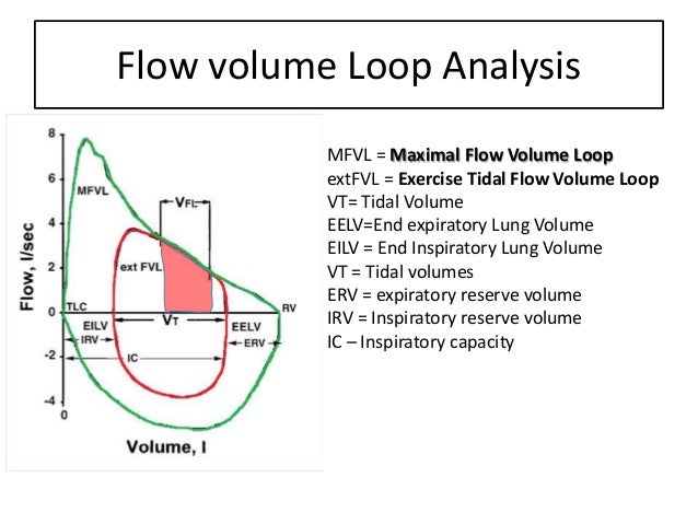 flow volume loop barca fontanacountryinn com flow volume loop