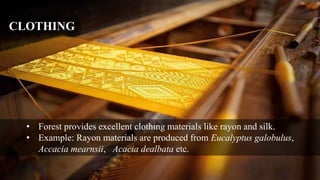 CLOTHING
• Forest provides excellent clothing materials like rayon and silk.
• Example: Rayon materials are produced from Eucalyptus galobulus,
Accacia mearnsii, Acacia dealbata etc.
 