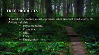 TREE PRODUCTS
Forest trees produce valuable products other than fuel wood, cloths, etc.,
Many valuable ;
 Phyto chemicals,
 Cosmetics,
 Oils,
 Fibber,
 Drugs, spices…etc.,
 