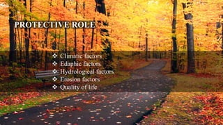 PROTECTIVE ROLE
 Climatic factors
 Edaphic factors
 Hydrological factors
 Erosion factors
 Quality of life
 