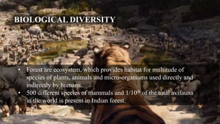 BIOLOGICAL DIVERSITY
• Forest are ecosystem, which provides habitat for multitude of
species of plants, animals and micro-organisms used directly and
indirectly by humans.
• 500 different species of mammals and 1/10th of the total avifauna
in the world is present in Indian forest.
 