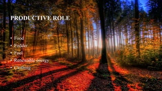 PRODUCTIVE ROLE
• Food
• Fodder
• Fuel
• Renewable energy
• Clothing
 