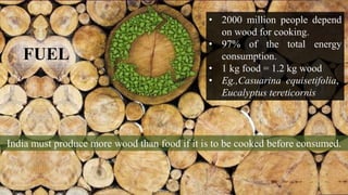 FUEL
• 2000 million people depend
on wood for cooking.
• 97% of the total energy
consumption.
• 1 kg food = 1.2 kg wood
• Eg.,Casuarina equisetifolia,
Eucalyptus tereticornis
India must produce more wood than food if it is to be cooked before consumed.
 