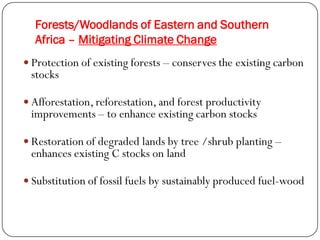 Role of Forestry in Climate Change | PDF