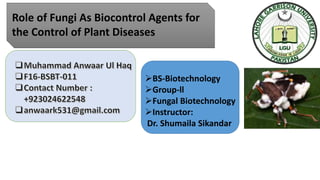Role of Fungi As Biocontrol Agents for
the Control of Plant Diseases
BS-Biotechnology
Group-ll
Fungal Biotechnology
Instructor:
Dr. Shumaila Sikandar
 
