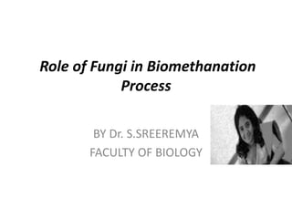 Role of Fungi in Biomethanation
Process
BY Dr. S.SREEREMYA
FACULTY OF BIOLOGY
 