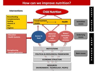 The role of gender in strengthening  the causal linkages between livestock production and human nutrition