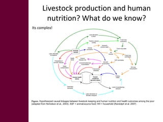 The role of gender in strengthening  the causal linkages between livestock production and human nutrition