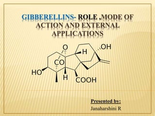 GIBBERELLINS- ROLE ,MODE OF
ACTION AND EXTERNAL
APPLICATIONS
Presented by:
Janaharshini R
 