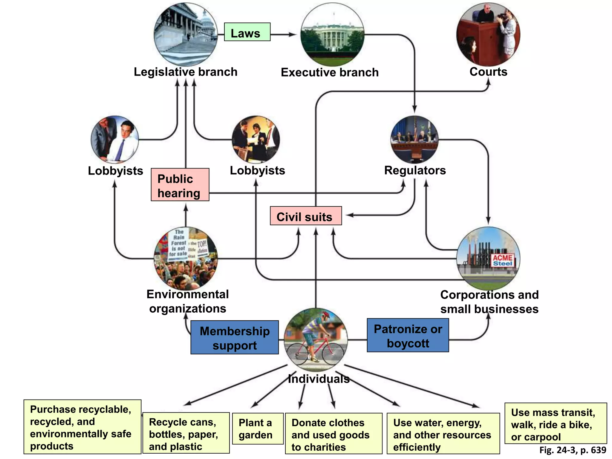 Fig. 24-3, p. 639
Laws
Legislative branch Executive branch Courts
Lobbyists Lobbyists Regulators
Public
hearing
Civil suits
Environmental
organizations
Corporations and
small businesses
Membership
support
Patronize or
boycott
Individuals
Purchase recyclable,
recycled, and
environmentally safe
products
Recycle cans,
bottles, paper,
and plastic
Plant a
garden
Donate clothes
and used goods
to charities
Use water, energy,
and other resources
efficiently
Use mass transit,
walk, ride a bike,
or carpool
 