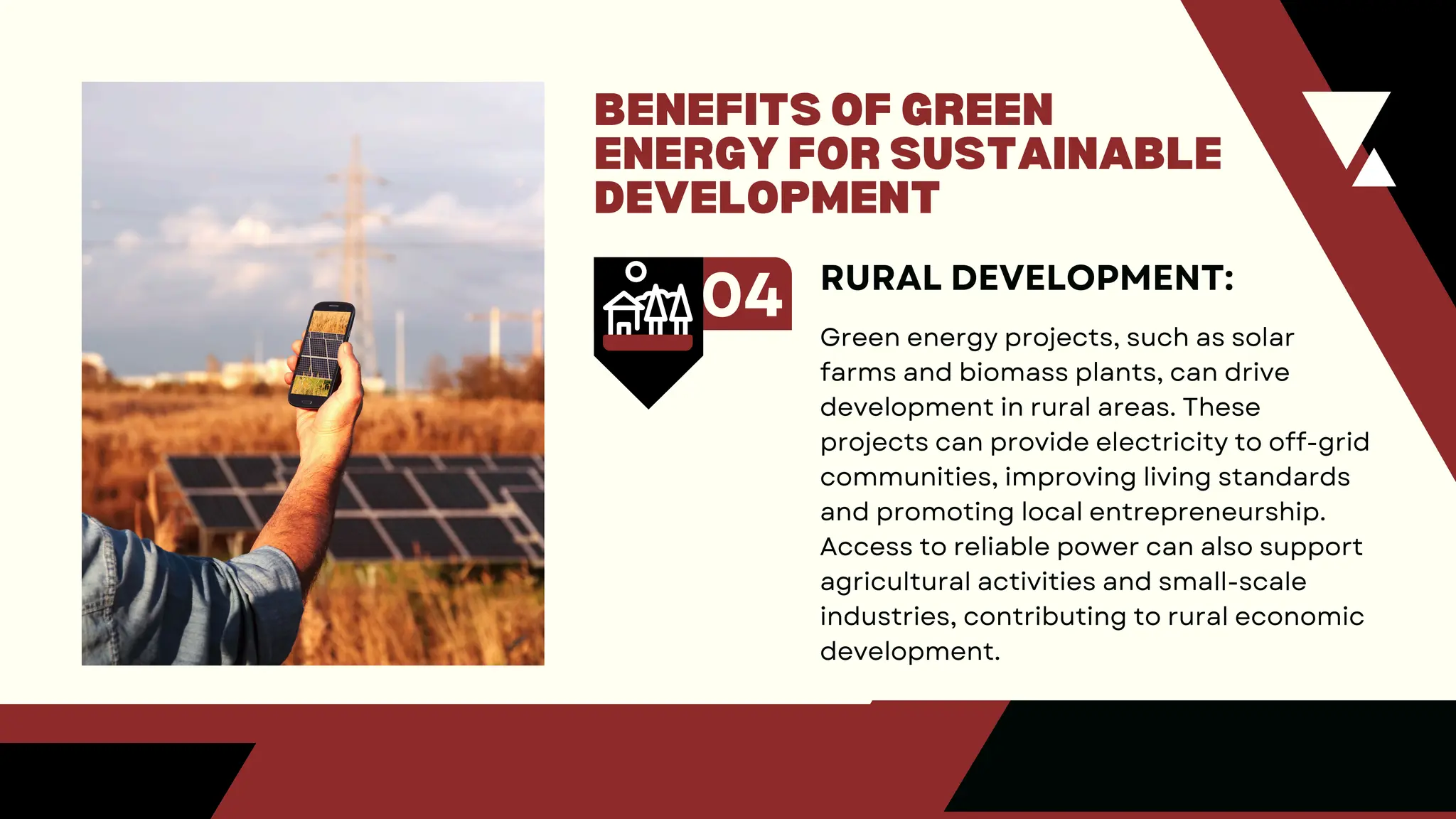 Role of Green Energy in the Sustainable Development of India.pdf