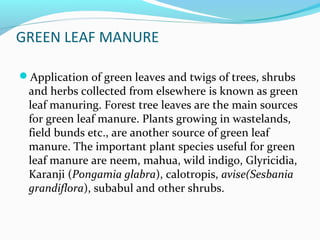 Role of green manure in organic farming | PPT