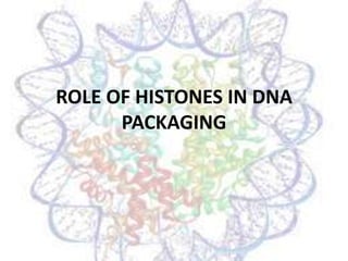ROLE OF HISTONES IN DNA
PACKAGING

 