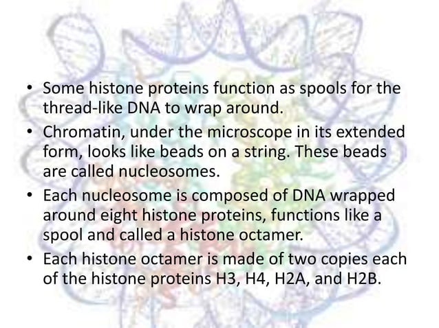Role of Histone in DNA packaging | PPTX
