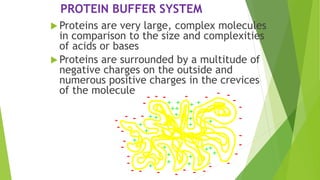 Protein Buffer Example ROLE OF HOMEOSTASIS IN CLINICAL CHEMISTRY.pptx