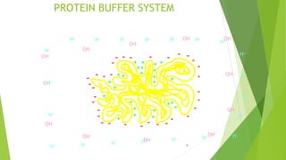 Protein Buffer Example ROLE OF HOMEOSTASIS IN CLINICAL CHEMISTRY.pptx