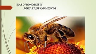 ROLE OF HONEYBEES IN
AGRICULTURE AND MEDICINE
 